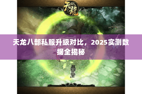 天龙八部私服升级对比，2025实测数据全揭秘