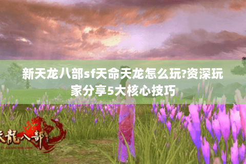 新天龙八部sf天命天龙怎么玩?资深玩家分享5大核心技巧