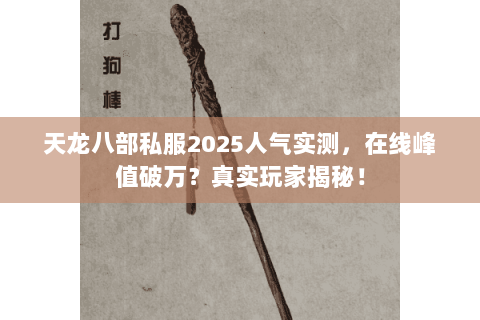 天龙八部私服2025人气实测，在线峰值破万？真实玩家揭秘！