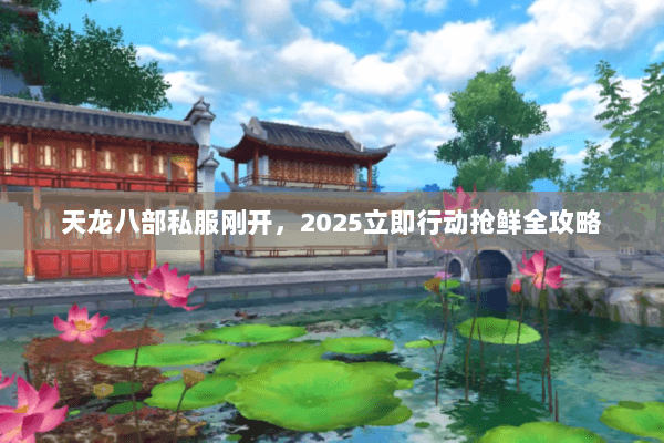 天龙八部私服刚开，2025立即行动抢鲜全攻略