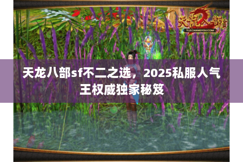 天龙八部sf不二之选,2025私服人气王权威独家秘笈 天龙八部sf不二之选,2025私服人气王权威独家秘笈