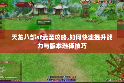 天龙八部sf武圣攻略,如何快速提升战力与版本选择技巧
