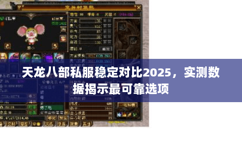 天龙八部私服稳定对比2025，实测数据揭示最可靠选项