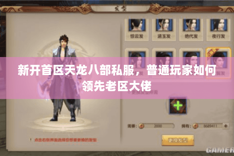 新开首区天龙八部私服，普通玩家如何领先老区大佬