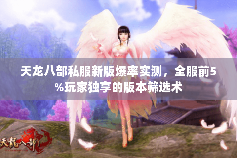 天龙八部私服新版爆率实测，全服前5%玩家独享的版本筛选术