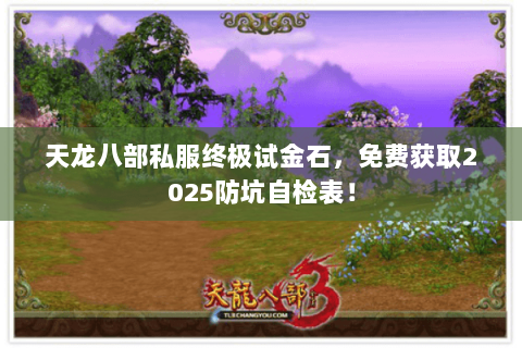 天龙八部私服终极试金石，免费获取2025防坑自检表！
