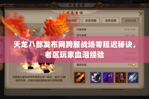 天龙八部发布网跨服战场零延迟秘诀，老区玩家血泪经验