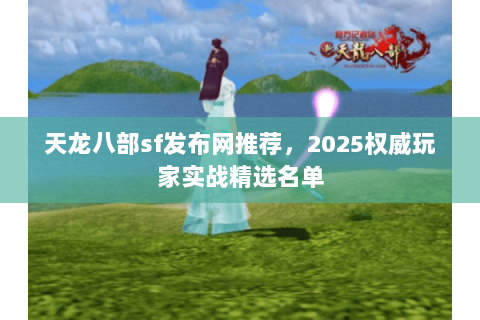 天龙八部sf发布网推荐，2025权威玩家实战精选名单
