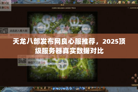 天龙八部发布网良心服推荐，2025顶级服务器真实数据对比