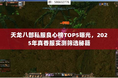 天龙八部私服良心榜TOP5曝光，2025年真香服实测筛选秘籍
