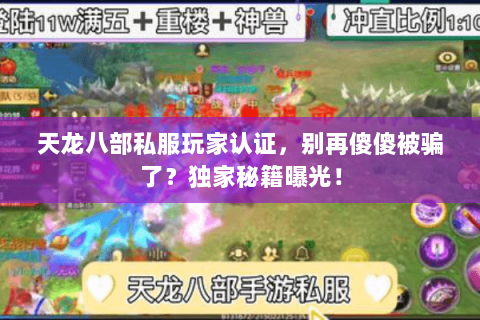 天龙八部私服玩家认证，别再傻傻被骗了？独家秘籍曝光！