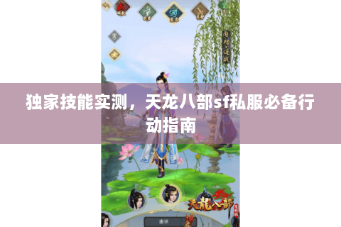 独家技能实测，天龙八部sf私服必备行动指南