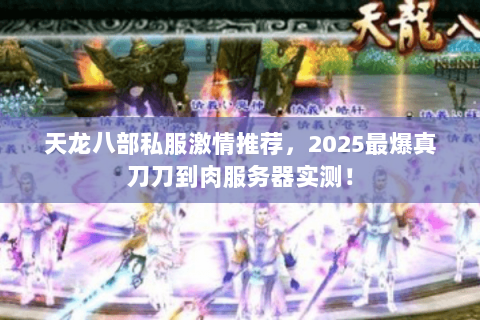 天龙八部私服激情推荐，2025最爆真刀刀到肉服务器实测！