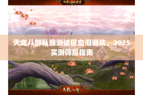 天龙八部私服测试区血泪避坑，2025实测筛服指南