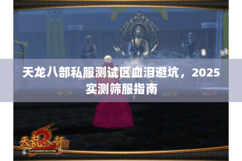 天龙八部私服测试区血泪避坑，2025实测筛服指南