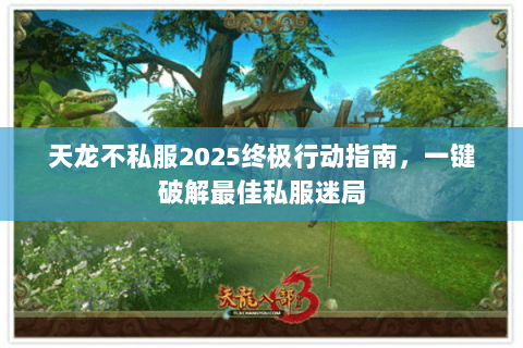 天龙不私服2025终极行动指南，一键破解最佳私服迷局