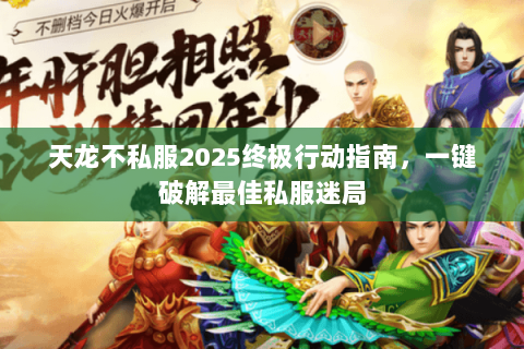 天龙不私服2025终极行动指南，一键破解最佳私服迷局