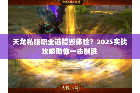 天龙私服职业选错毁体验？2025实战攻略助你一击制胜