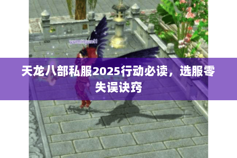 天龙八部私服2025行动必读，选服零失误诀窍