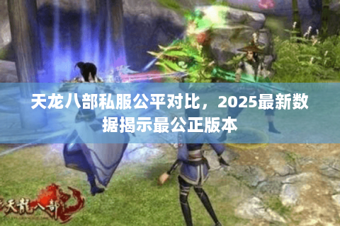 天龙八部私服公平对比，2025最新数据揭示最公正版本