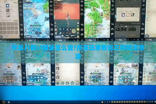 天龙八部sf目录怎么查?资深玩家教你三招锁定资源