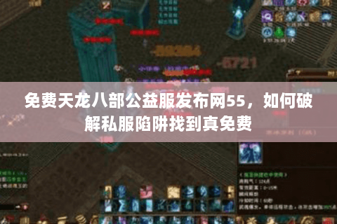 免费天龙八部公益服发布网55，如何破解私服陷阱找到真免费