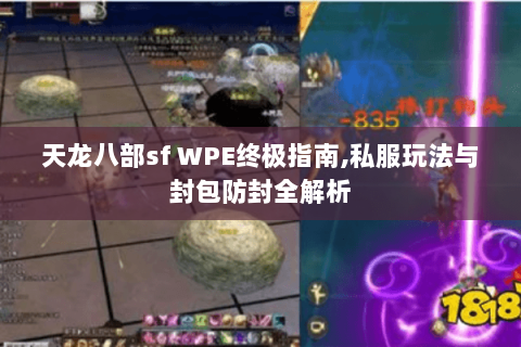 天龙八部sf WPE终极指南,私服玩法与封包防封全解析 天龙八部sf WPE终极指南,私服玩法与封包防封全解析