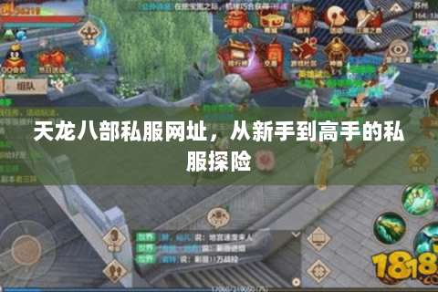 天龙八部私服网址，从新手到高手的私服探险