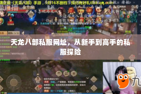 天龙八部私服网址，从新手到高手的私服探险