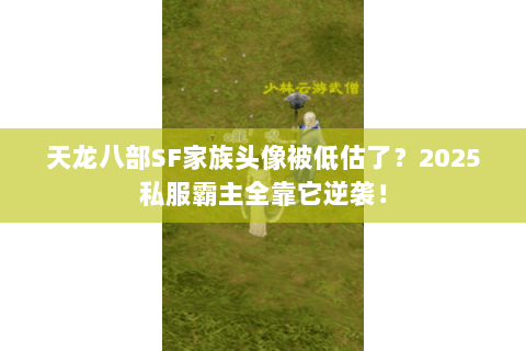 天龙八部SF家族头像被低估了？2025私服霸主全靠它逆袭！