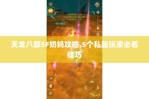 天龙八部SF奶妈攻略,5个私服玩家必看技巧