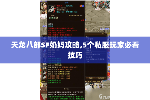 天龙八部SF奶妈攻略,5个私服玩家必看技巧