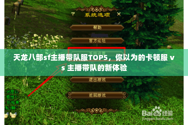 天龙八部sf主播带队服TOP5，你以为的卡顿服 vs 主播带队的新体验