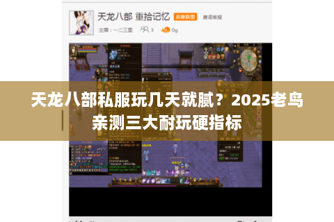 天龙八部私服玩几天就腻？2025老鸟亲测三大耐玩硬指标