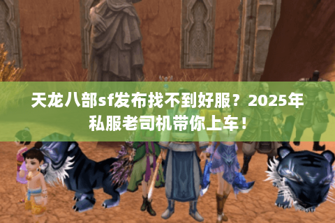 天龙八部sf发布找不到好服？2025年私服老司机带你上车！