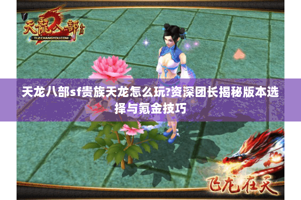 天龙八部sf贵族天龙怎么玩?资深团长揭秘版本选择与氪金技巧