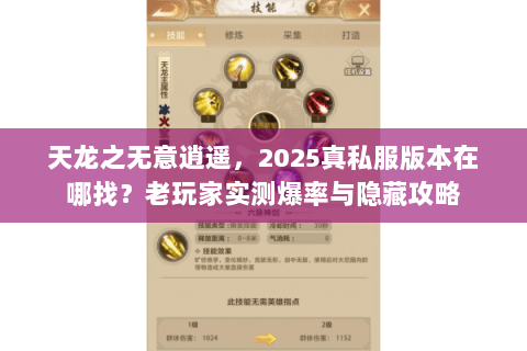 天龙之无意逍遥，2025真私服版本在哪找？老玩家实测爆率与隐藏攻略