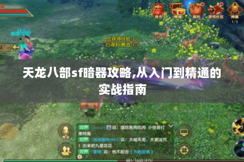 天龙八部sf暗器攻略,从入门到精通的实战指南