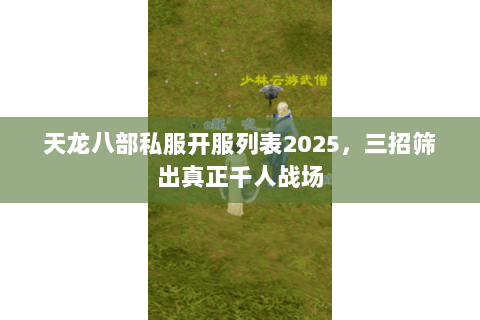 天龙八部私服开服列表2025，三招筛出真正千人战场
