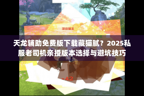 天龙辅助免费版下载藏猫腻？2025私服老司机亲授版本选择与避坑技巧