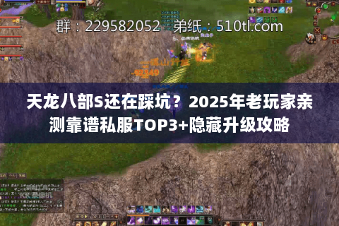 天龙八部S还在踩坑？2025年老玩家亲测靠谱私服TOP3+隐藏升级攻略