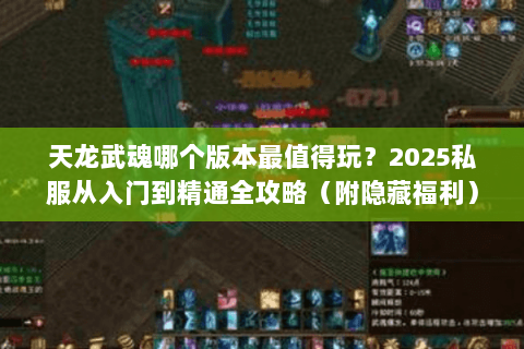 天龙武魂哪个版本最值得玩？2025私服从入门到精通全攻略（附隐藏福利）
