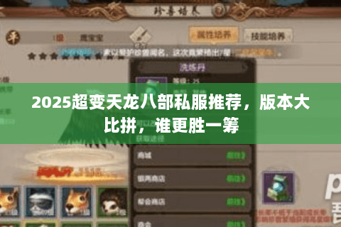 2025超变天龙八部私服推荐，版本大比拼，谁更胜一筹