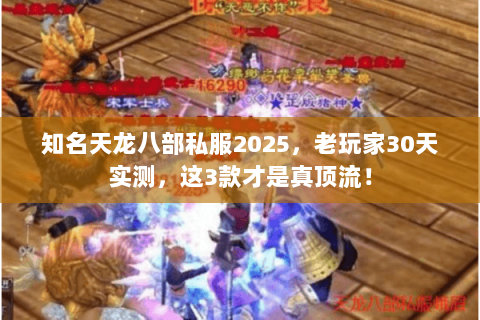知名天龙八部私服2025，老玩家30天实测，这3款才是真顶流！