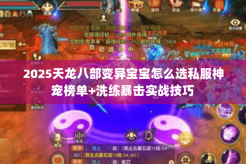 2025天龙八部变异宝宝怎么选私服神宠榜单+洗练暴击实战技巧