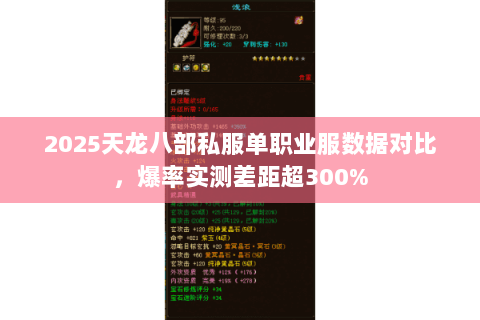 2025天龙八部私服单职业服数据对比，爆率实测差距超300%