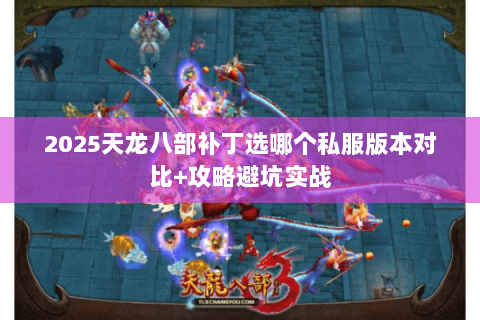 2025天龙八部补丁选哪个私服版本对比+攻略避坑实战
