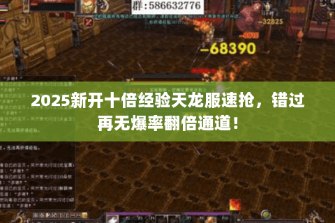 2025新开十倍经验天龙服速抢，错过再无爆率翻倍通道！