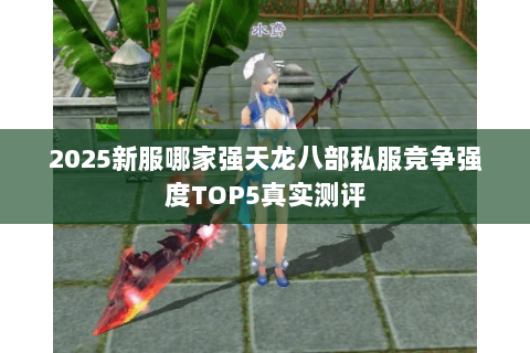 2025新服哪家强天龙八部私服竞争强度TOP5真实测评