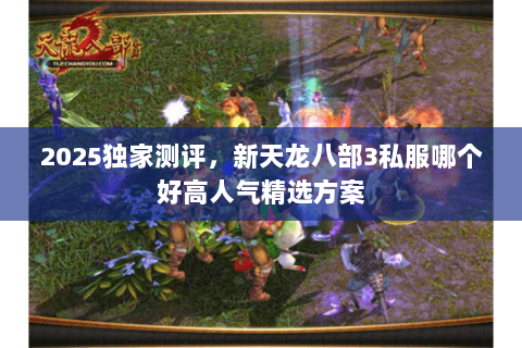 2025独家测评，新天龙八部3私服哪个好高人气精选方案